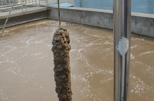 水處理填料對(duì)污水的實(shí)際處理作用