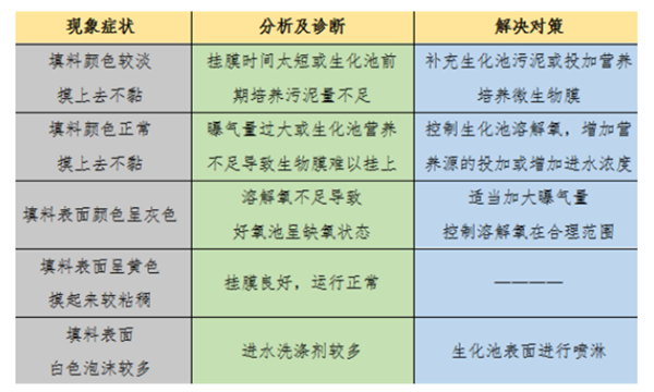 生化池生物填料.png